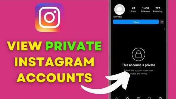 see private instagram apk